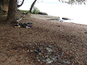 Rheta Grimsley Johnson, Trash on a beach on Pickwick Lake, Fish Trap Hollow, Mississippi, 2012.