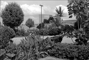 David Wharton, Landscaping, El Dorado Casino Resort, Shreveport, Louisiana.