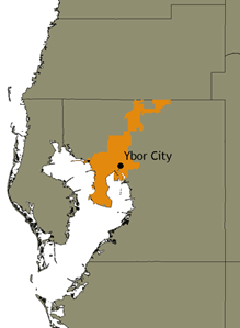 Map of the City of Tampa within Hillsborough County