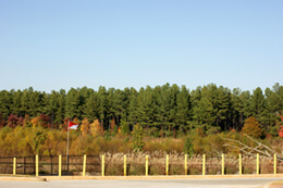 John Howard, Developer's flag, Henry County, Georgia, November 2008.