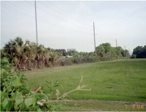 Kwesi Degraft-Hanson, Part of the former Ten Broeck Race Course site, now Bradley Plywood Corporation property, Savannah, Georgia, July 2008.