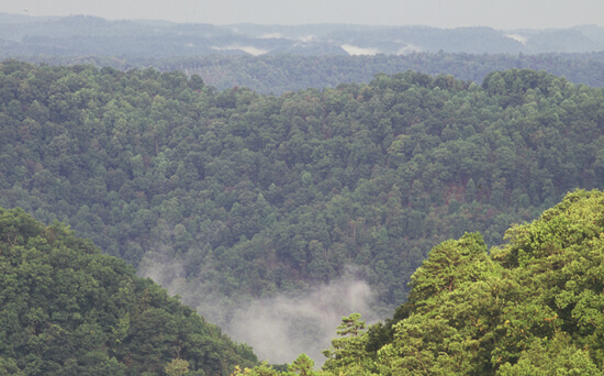 Mark Schmerling, Mists rise over the Paint Creek Trail, Kanawha County, West Virginia, 2006. 