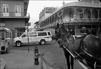 David Wharton, Intersection of St. Louis and Royal, French Quarter, New Orleans, Louisiana