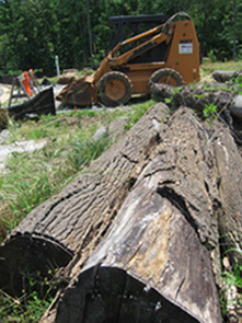 Clearing logs in development