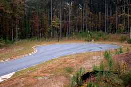 John Howard, In a far corner of a failing subdivision, a cul-de-sac becomes a wildlife refuge, Henry County, Georgia, November 2009.