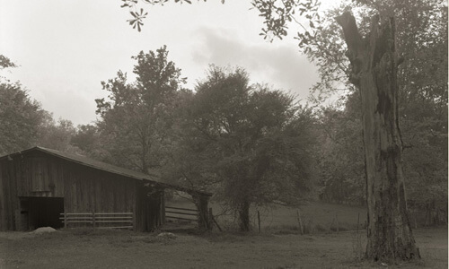 Nancy Marshall, The stable, Andalusia