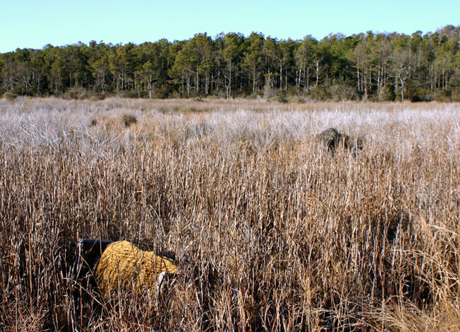 Christopher Reiger, Marsh love seat, Bull's Landing, Eastern shore of Virginia, 2005.