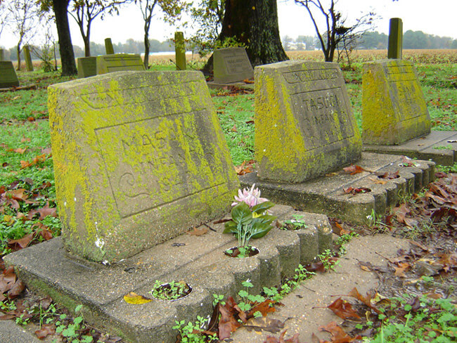 John Howard, Infant gravesites, Japanese American concentration camp cemetery, Rohwer, Arkansas, 2004.