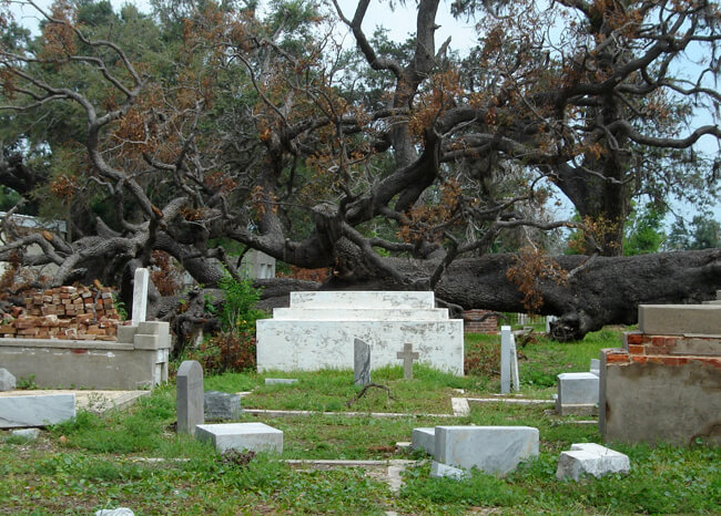 Emma Bertolaet, Biloxi cemetery, Biloxi, Mississippi, 2006.