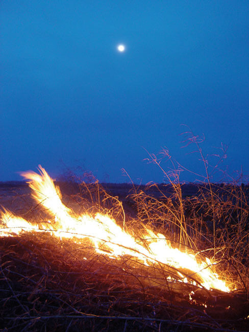 Michael Martin, Delta field fire, Dundee, Mississippi, 2006.