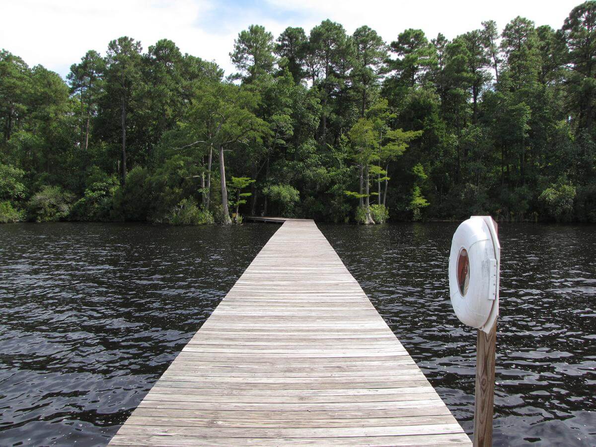 Jones Lake State Park Fishing Pier, Bladen County, North Carolina, August 25, 2013. Photograph by Flickr user Gerry Dincher. Creative Commons license CC BY-SA 2.0.