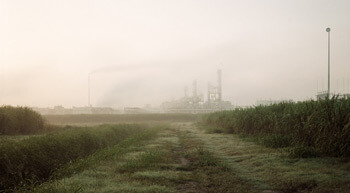 Richard Misrach, Sugar Cane and Refinery, Mississippi River Corridor, Louisiana, 1998 from Petrochemical America, photographs by Richard Misrach, Ecological Atlas by Kate Orff (Aperture, 2012). © Richard Misrach, courtesy of Pace/MacGill Gallery, New York; Fraenkel Gallery, San Francisco; and Marc Selwyn Gallery, Los Angeles.