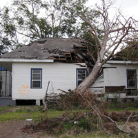 Tree in house near N. Rampart Street. Holy Cross, New Orleans, Louisiana, November 4, 2005. Photograph by Ian J. Cohn. © Ian J. Cohn.