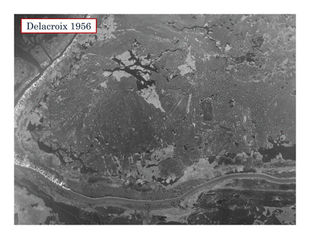 Wetland loss between 1956 and 2008 near Delacroix, Lousiana. Slides from Southeast Lousiana Flood Protection Authority-East's (SLFPAE) January 16, 2014, presentation to the Coastal Planning and Restoration Authority (CPRA). GIF by Eric Nost. Courtesy of Eric Nost, "Much Ado about the Causes of Wetland Loss in Louisiana."