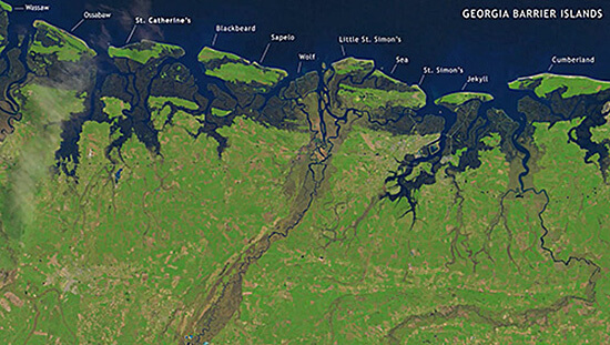 St. Catherines Island in the chain of Georgia Barrier Islands. Map courtesy of Steve Bransford, Anthony Martin, and Michael Page. Screenshot courtesy of Southern Spaces.