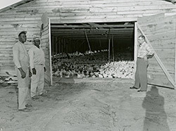 Jones Co-op, Jones County, Mississippi, 1958. Photograph from Mississippi Farm Bureau Federation Collection PI/2010.0002. Series 2, Image 977. Courtesy of Mississippi Department of Archives and History.