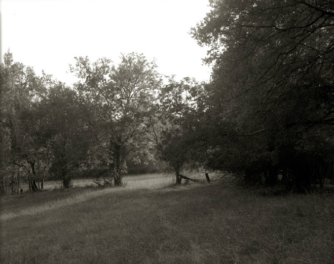 Andalusia: Photographs of Flannery O'Connor's Farm - Southern Spaces