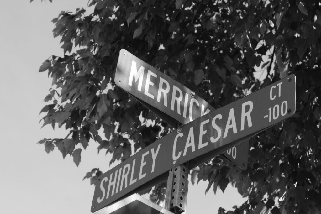 Photo of street signs at the corner of Shirley Caesar Court and Merrick.