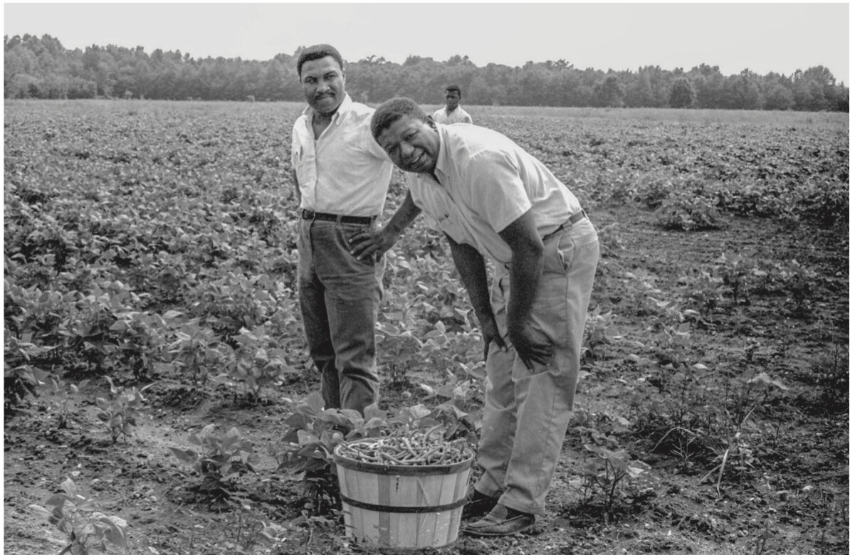With the vast landscape of the North Bolivar County Food Cooperative Farm in the background, three men stand in the middle of the frame. In the foreground, one man in a short sleeved white collared shirt, black belt, and dark slacks stands with his hands on his hips looking off into the distance. Another man, also in a white collared shirt and light pants, bends over a wooden bushel basket filled with snap beans and looks directly in the camera. Over his shoulder, a younger man, standing in the background, can be seen.