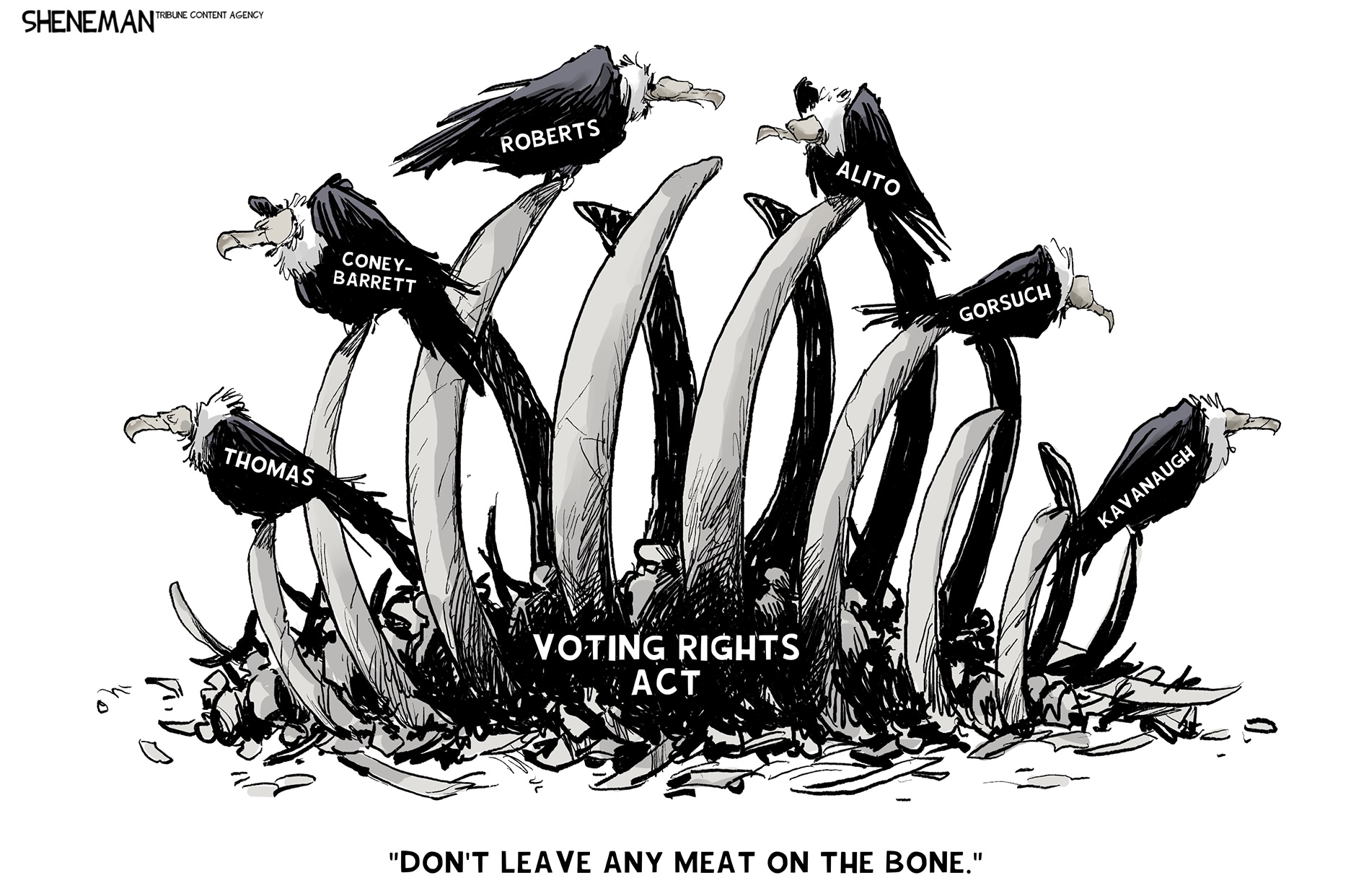 Cartoon showing buzzards bearing the names of the US Supreme Court justices who voted to eviscerate the Voting Rights Act perched on the bones of a carcass. Caption reads: 'Don't Leave Any Meat on the Bones'